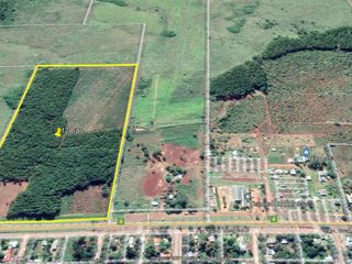 Foto 1 de Se vende Chacra Sobre Ruta 4. Pegada al pueblo. Ideal Loteo- Bonpland. Misiones