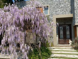 Foto 1 de Casa - Saint Thomas