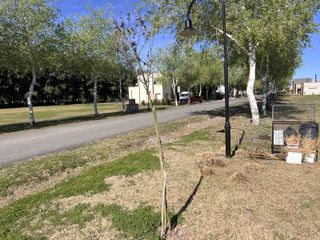 Foto 19 de Casa 5 amb en Haras del Sur 2