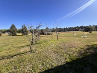 Foto 106 de Casa 5 amb en Haras del Sur 2
