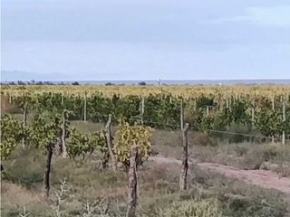 Foto 5 de VENTA DE FINCA 169,5 HAS CON GRAN POTENCIAL EN SANTA ROSA- MZA.