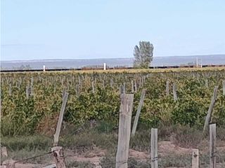 Foto 1 de VENTA DE FINCA 169,5 HAS CON GRAN POTENCIAL EN SANTA ROSA- MZA.