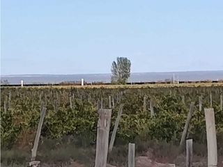 Foto 2 de VENTA DE FINCA 169,5 HAS CON GRAN POTENCIAL EN SANTA ROSA- MZA.