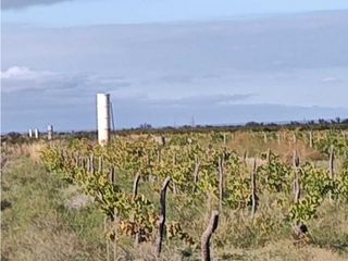Foto 3 de VENTA DE FINCA 169,5 HAS CON GRAN POTENCIAL EN SANTA ROSA- MZA.