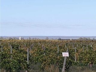 Foto 4 de VENTA DE FINCA 169,5 HAS CON GRAN POTENCIAL EN SANTA ROSA- MZA.