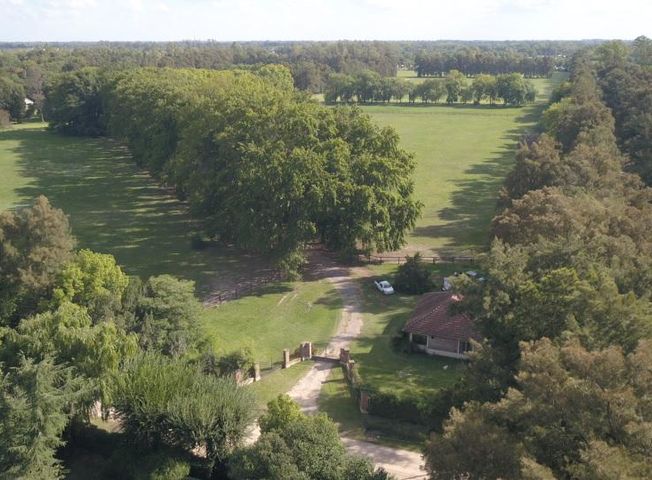 place photo 43