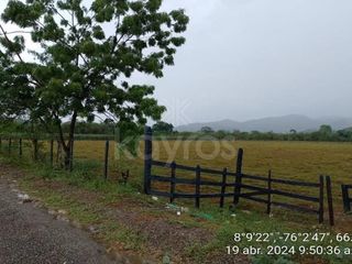 Foto 3 de 4 hectáreas de terreno en Tierralta