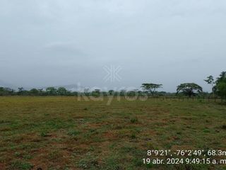 Foto 5 de 4 hectáreas de terreno en Tierralta
