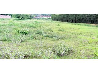 Foto 11 de Venta de 2 Lotes Urbanos en Pance en el Sur de Cali