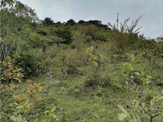 Foto 10 de FINCA EN PAICOL