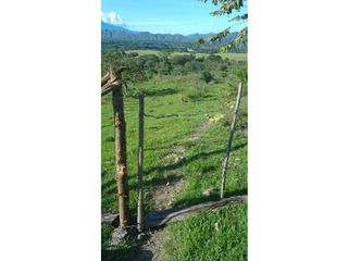 Foto 12 de FINCA EN PAICOL
