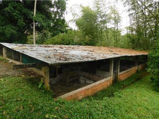 Foto 26 de VENTA DE finca en Borrero Ayerbe MIP8008611