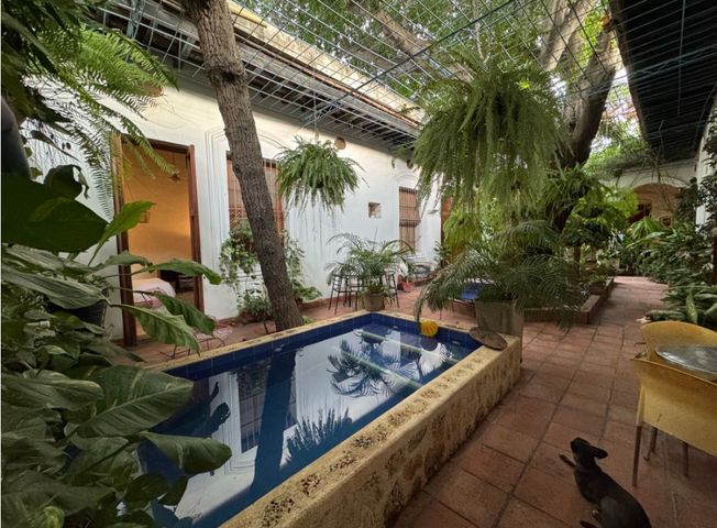 place photo 26