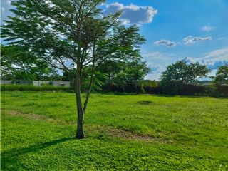 Foto 17 de VENTA HERMOSO LOTE PLANO SECTOR LAS CASCADAS CERRITOS PEREIRA