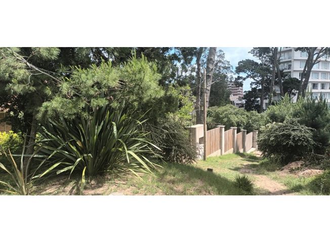 place photo 36