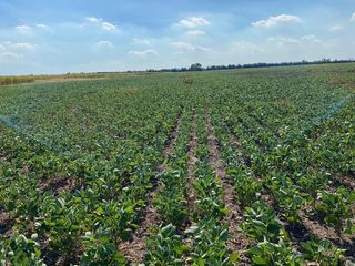 Foto 3 de Campo en Humberto Primero