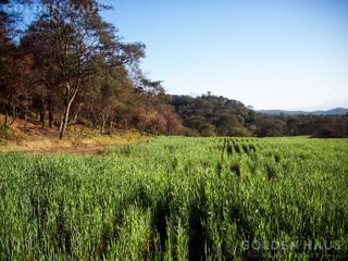 Foto 4 de Campo en  Campo Mixto - 7200 Has - Metan, Salta - Argentina.
