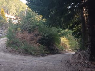 Foto 1 de Lote venta Villa La Angostura en Loteo Bandurrias Vista Parcial al lago
