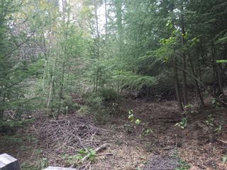 Foto 12 de Lote venta Villa La Angostura en Loteo Bandurrias Vista Parcial al lago