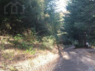 Foto 13 de Lote venta Villa La Angostura en Loteo Bandurrias Vista Parcial al lago