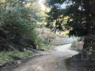 Foto 9 de Lote venta Villa La Angostura en Loteo Bandurrias Vista Parcial al lago