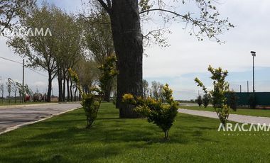similar_image