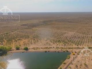 Foto 5 de Campo en Venta - Finca Productiva en Mendoza