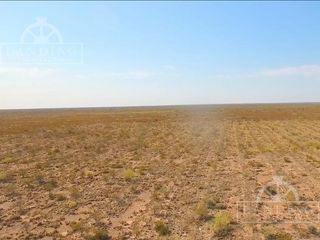 Foto 3 de Campo en Venta - Finca Productiva en Mendoza