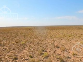 Foto 4 de Campo en Venta - Finca Productiva en Mendoza