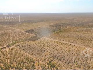 Foto 6 de Campo en Venta - Finca Productiva en Mendoza
