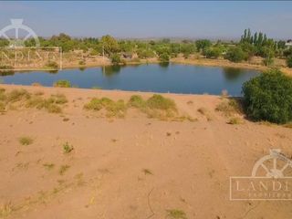 Foto 2 de Campo en Venta - Finca Productiva en Mendoza