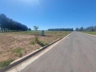 Foto 2 de Venta Terreno de 420m2 en EcoLagos Oeste, General Lagos
