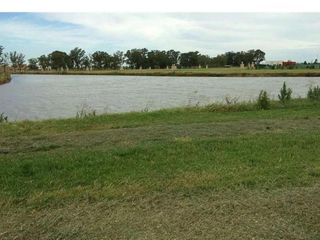 Foto 13 de Terreno en venta - 800Mts2 - Lagos de San Eliseo, Presidente Perón