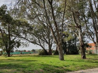 Foto 15 de Terreno en venta - 800Mts2 - Lagos de San Eliseo, Presidente Perón