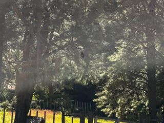Foto 5 de Campo en venta - 212Hectareas - San Martín de Los Andes