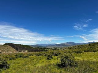 Foto 8 de Campo en venta - 212Hectareas - San Martín de Los Andes
