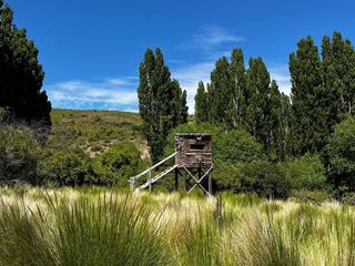 Foto 13 de Campo en venta - 212Hectareas - San Martín de Los Andes