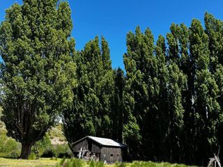 Foto 6 de Campo en venta - 212Hectareas - San Martín de Los Andes
