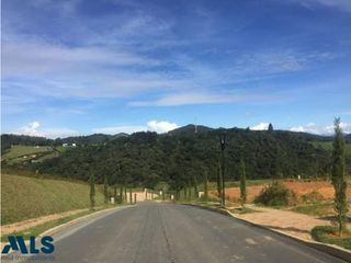 Foto 4 de Lote en el Alto de Palmas, precio de oportunidad