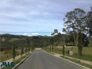 Foto 5 de Lote en el Alto de Palmas, precio de oportunidad