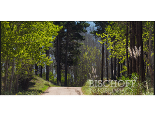 Foto 4 de VENTA AL POZO EN VILLA ROBLES MELITON BOSQUES