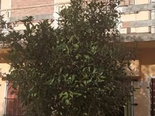 Foto 6 de Monoambiente en venta en Las Toninas
