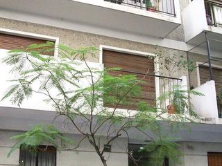 Foto 1 de Departamento en alquiler 1 ambiente zona Las Cañitas