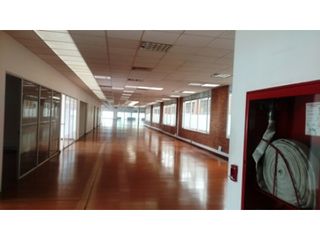 Foto 3 de Arriendo Oficina Morato