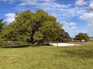 Foto 2 de Campo - Loma Verde