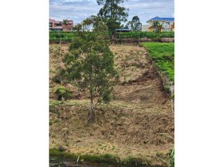 Foto 6 de PARCELA EN VENTA EN LA PARCELACION SAN FRANCISCO, POPAYN