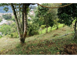 Foto 9 de Lote en Parcelacion San Jose de Las Aguas-La Estrella Antioquia