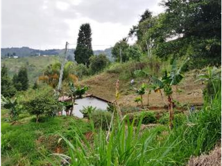 Foto 10 de Lote en Parcelacion San Jose de Las Aguas-La Estrella Antioquia