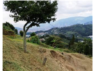 Foto 1 de Lote en Parcelacion San Jose de Las Aguas-La Estrella Antioquia