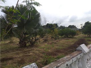 Foto 21 de VENTA FINCA PALMIRA EL BOLO OPORTUNIDAD PRODUCTIVA